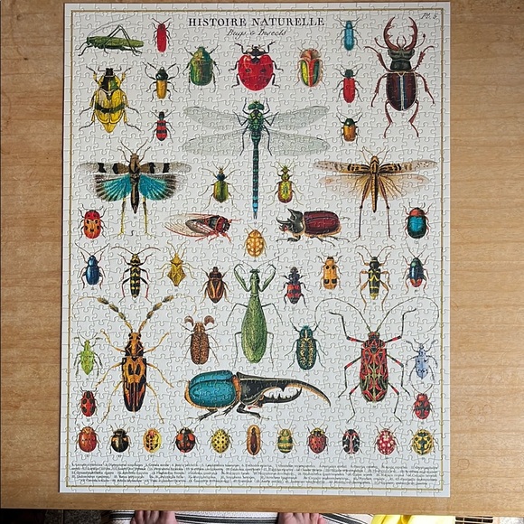 Bugs and Insects 1,000 Piece Puzzle - Picture 2 of 5